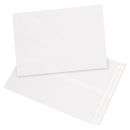 12 x 15 <span class='fraction'>1/2</span>" White Flat Tyvek<span class='rtm'>®</span> Envelopes